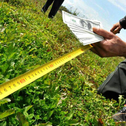 Прокуратура Астаны изъяла земельные участки на 663 млн тенге