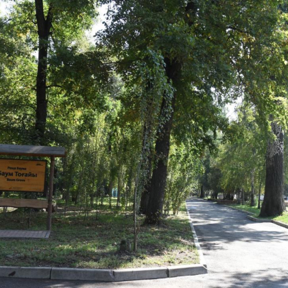 В Алматы начинается благоустройство рощи Баума