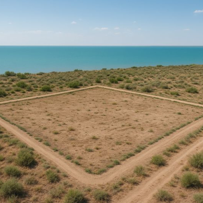 Неосвоенный участок у побережья Балхаша возвращён государству