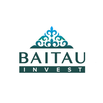 Фото профиля Baitau invest