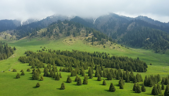 Застройку склонов гор запретят в Алматы