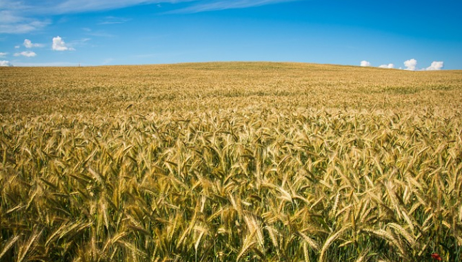 Акиматы регионов Казахстана вынесли 515 незаконных решений о предоставлении сельхозземель